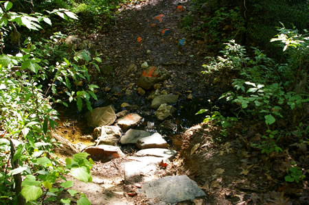 The trail crosses a small stream.