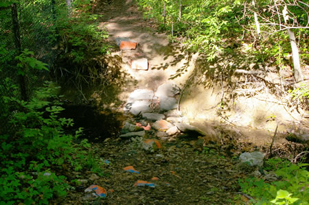 The trail crosses a small stream.