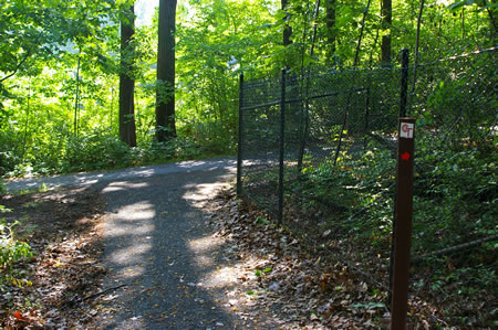 The trail meets an asphalt trail. Turn right to follow that trail.