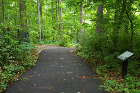 A hard surface trail intersects from the left where the fence turns.