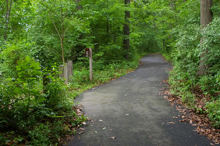 A dirt trail intersects from the left. Continue straight on the present trail.