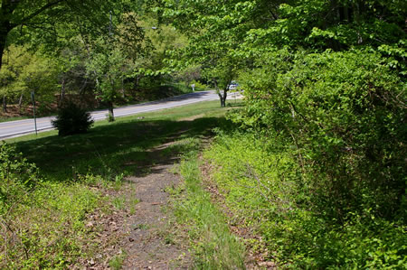 The trail leaves the woods and follows a cleared area next to Lorton Road.