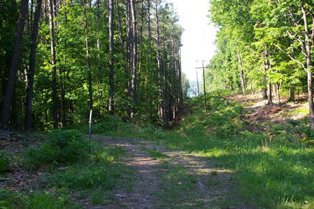 The trail leaves the power lines just prior to a gully.