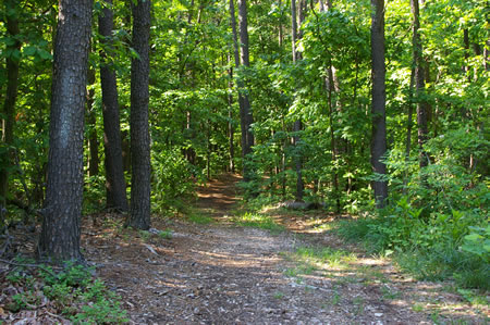 The trail passes through a wooded section for a considerable distance.