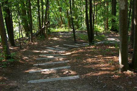 The trail goes down a hill on a series of steps.