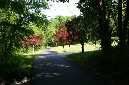 An asphalt trail intersects from the right. Stay on the current trail.