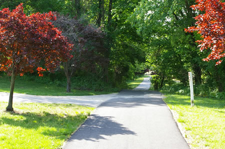 An asphalt trail intersects from the left. Stay on the current trail.