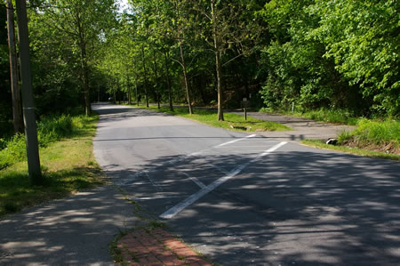 Follow the crosswalk to the asphalt trail on the other side of the road.