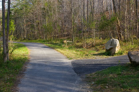 An asphalt trail intersects from the right. Continue straight on the present trail.