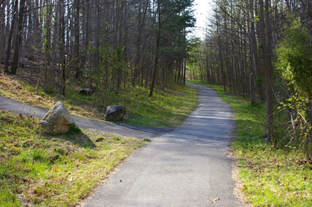 An asphalt trail intersects from the left. Continue straight on the present trail.