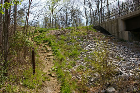 The CCT uses this natural surface trail to reach Pohick Rd. at the top of the hill.