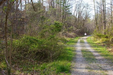 An asphalt trail intersects from the left. Continue straight on the present trail.