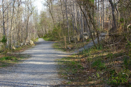 An asphalt trail intersects from the right. Continue straight on the present trail.