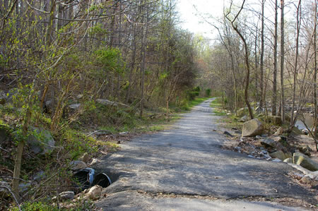 An asphalt trail intersects from the left. Continue straight on the present trail.