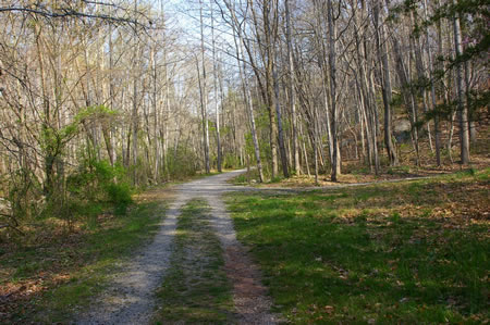 A trail intersects from the right. Continue straight on the present trail