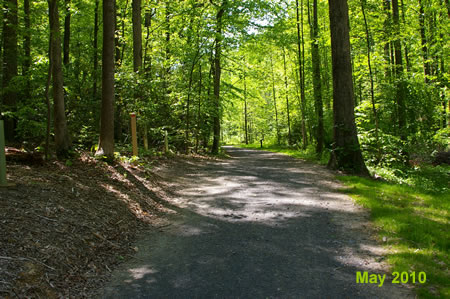 The side trail on the left was the original CCT route.  Keep straight on the present trail.