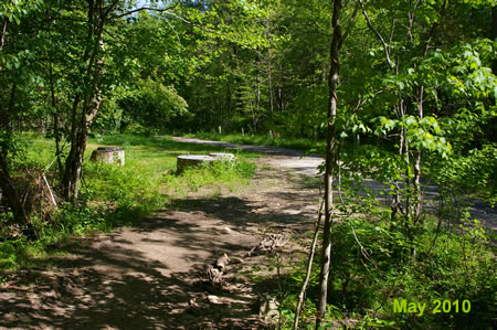 The trail passes a side trail to the left.