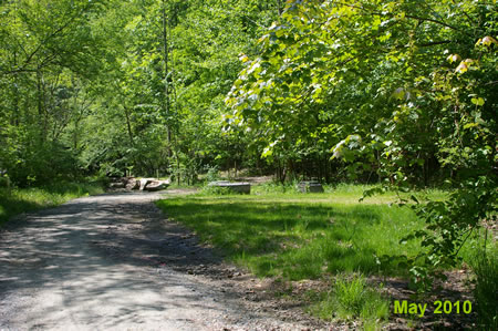 The trail passes a side trail on the right.