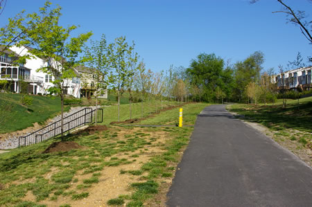 The walk passes a side trail that crosses a gully.