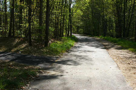 Turn left onto the first asphalt trail after crossing Laurel Crest Dr.