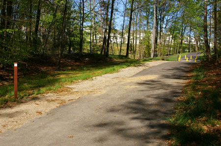 The trail goes through a short wooded section.