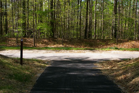 Turn right onto the intersecting asphalt trail.