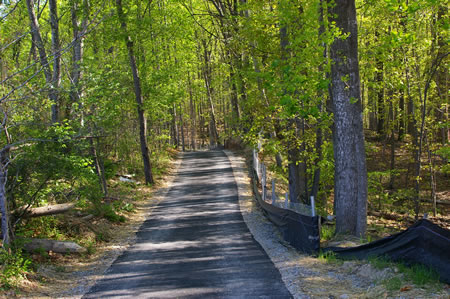 The trail enters a wooded area.