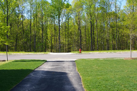 The trail crosses Bluebonnet Dr and continues down the hill on the other side.