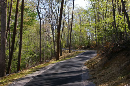 The trail climbs a hill after crossing the stream.