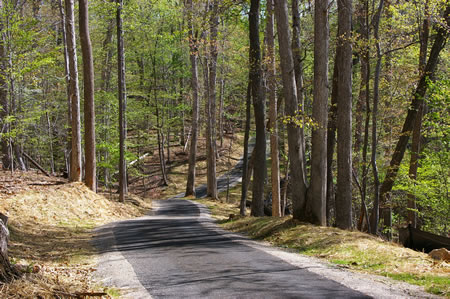 The trail goes down another hill.