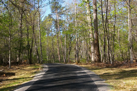 The trail climbs the first of a series of hills.