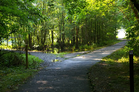 A gravel trail intersects from the left. Continue to the right on the asphalt trail.