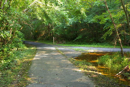 A gravel trail intersects from the right. Turn right for a short distance to view an interesting pond but come back to the asphalt trail to stay on the CCT.