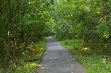 The trail continues through the woods after passing the athletic area.