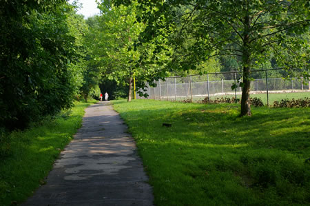 The trail leaves the woods for a short distance.