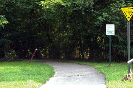 After crossing the road the trail  turns slightly to the left as it enters the  woods.