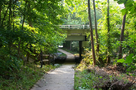 The trail passes under King Arthur Rd.