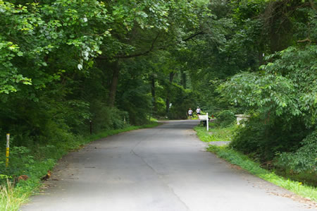 After leaving the ballfield follow the paved Accotink Pwy. for one short block. There is only light traffic here.