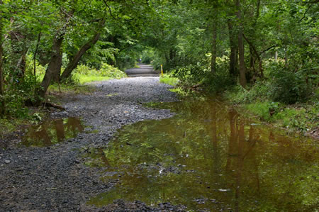 The stone trail has poor drainage in this section.  It is passable.