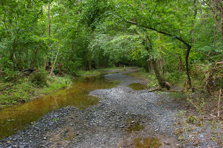 The stone trail has poor drainage in this section. It is passable.