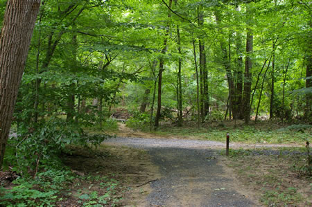 After a short distance the trail turns left.