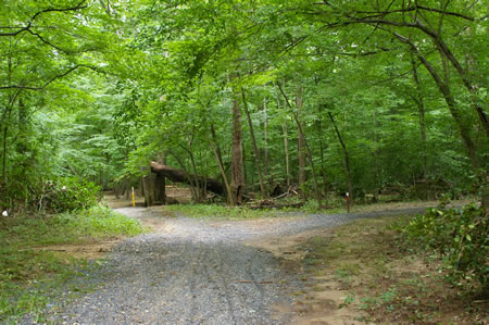 The trail turns right just prior to a small stream crossing.