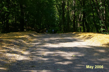 The trail climbs a hill on the other side.