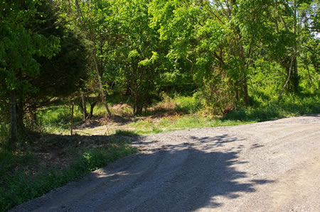 Turn left at the end of the hard surface trail as it meets a dirt road from the right.