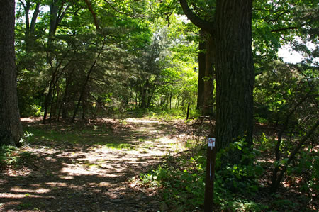 The trail turns sharply to the right across from the first house on the paved road.