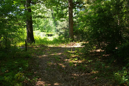 The trail turns right just prior to Lorton Road.