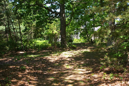 After a very short distance the trail turns left and merges with a paved road.