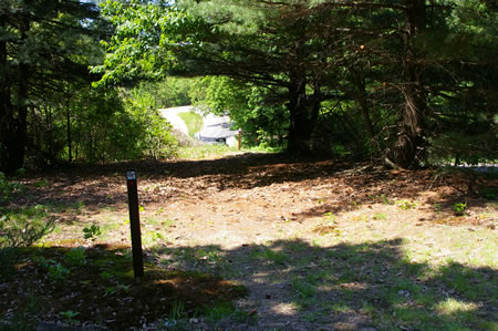 The trail goes down a hill to merge with the paved road and cross Lorton Road.