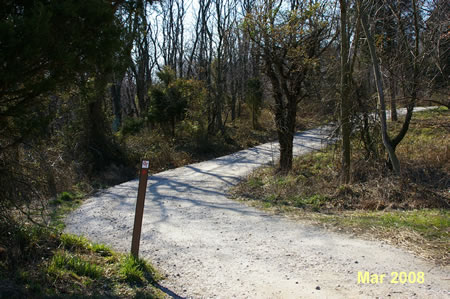 The trail quickly turns to the right to continue in the same direction as before.