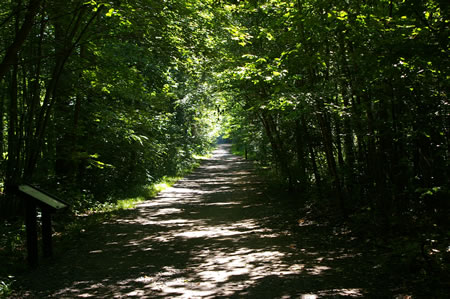 This trail has a stone surface. Note the display case on the left.